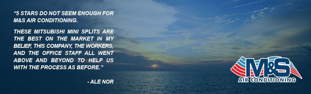 Google review by Ale Nor 8/6/2022